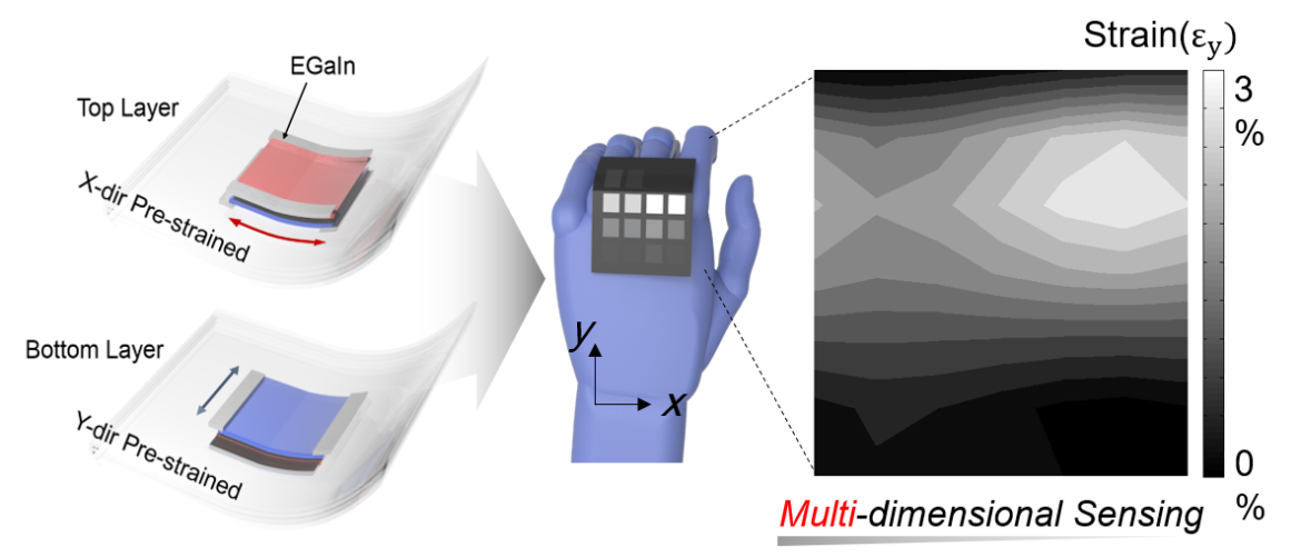 Multidimensional strain sensor2